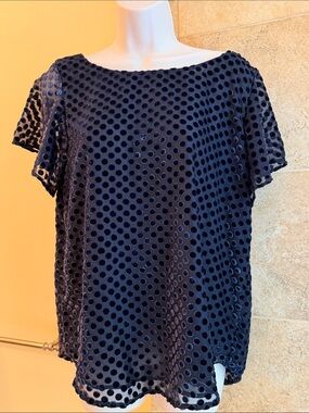 LOFT Women's Swiss dot navy blue cap flutter sleeve top M